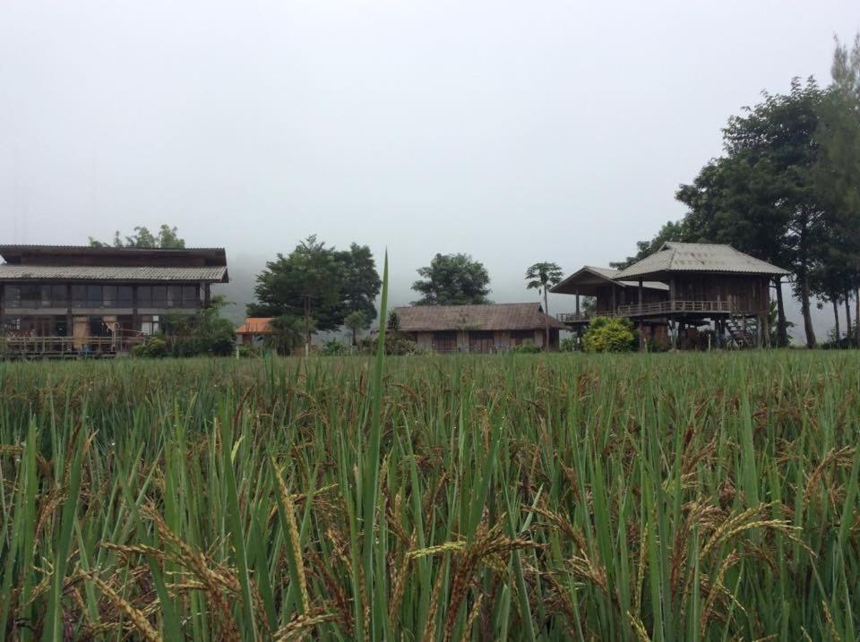 Mazipai Camping Villa Buitenkant foto